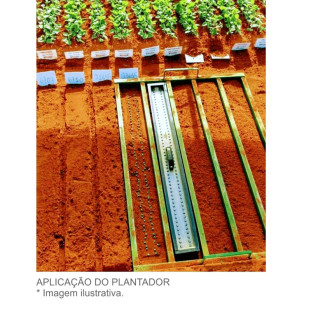 Plantador para canteiro de sementes