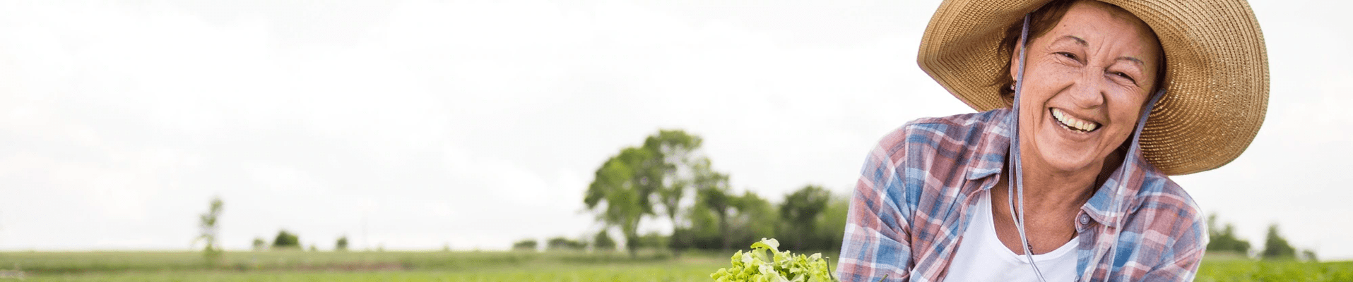 Conhe&ccedil;a nossa empresa